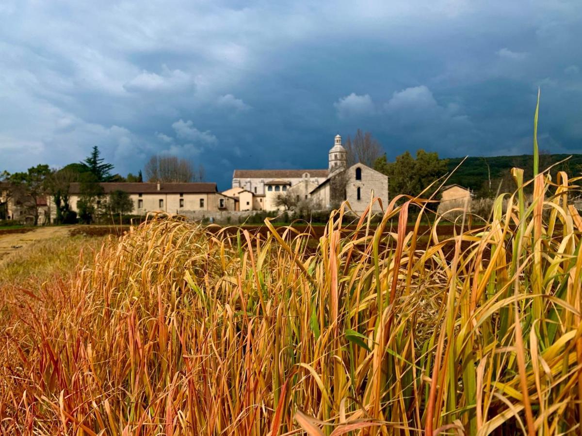 Casette Rosse Nel Borgo Medievale Di Fossanova لاتينا المظهر الخارجي الصورة